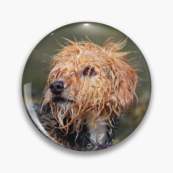 Item preview, Soggy dog designed and sold by GreyFeatherPhot.