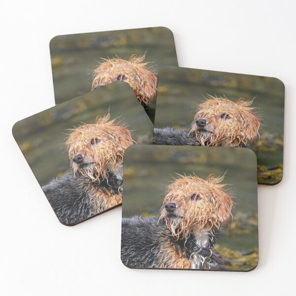 Item preview, Soggy dog designed and sold by GreyFeatherPhot.