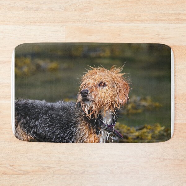 Item preview, Soggy dog designed and sold by GreyFeatherPhot.