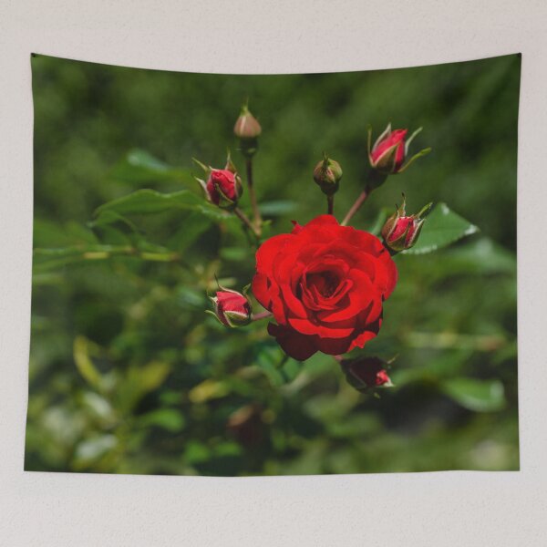 Item preview, Fabulously Red Rose Burst Just in Time for Valentines designed and sold by Georgia Mizuleva.