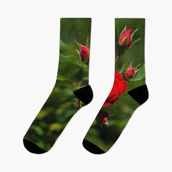 Item preview, Fabulously Red Rose Burst Just in Time for Valentines designed and sold by Georgia Mizuleva.