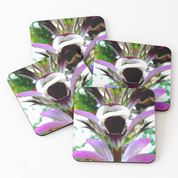 Item preview, Acanthus spinosus designed and sold by angel1.