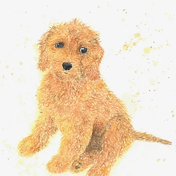 Artwork thumbnail, Red Cockapoo by Worldofcolour