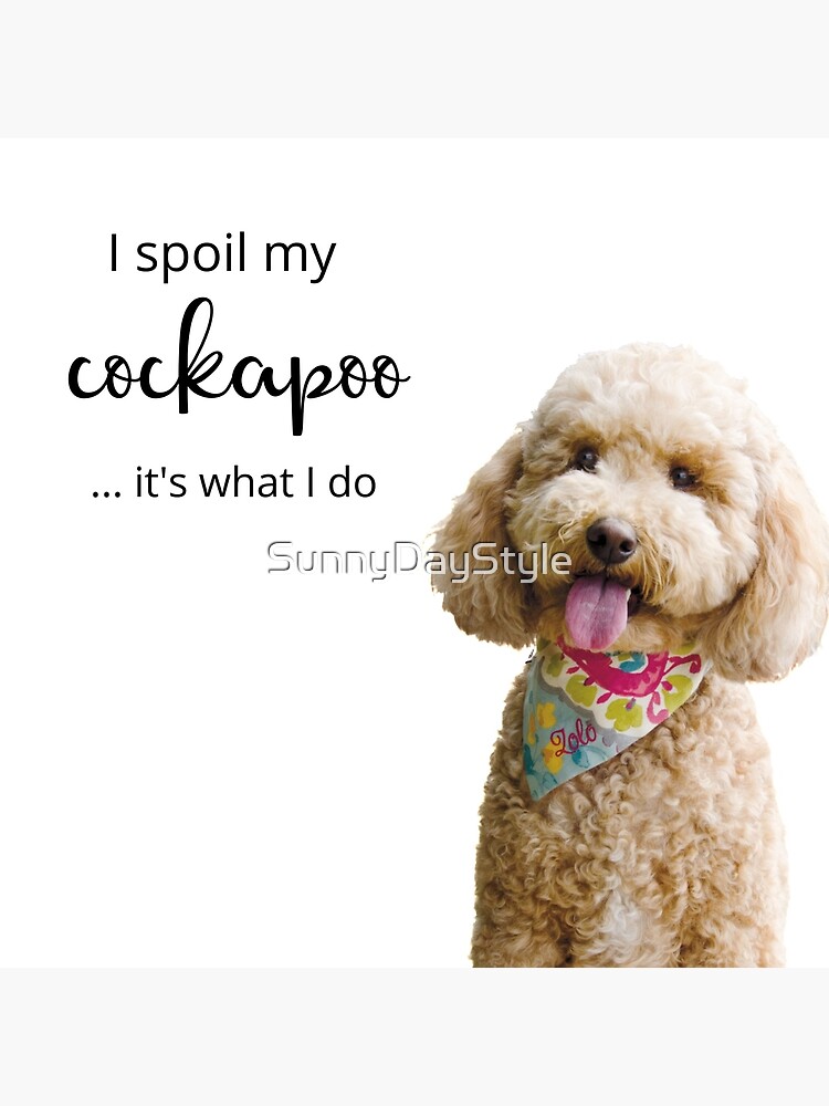 cockapoo pillow