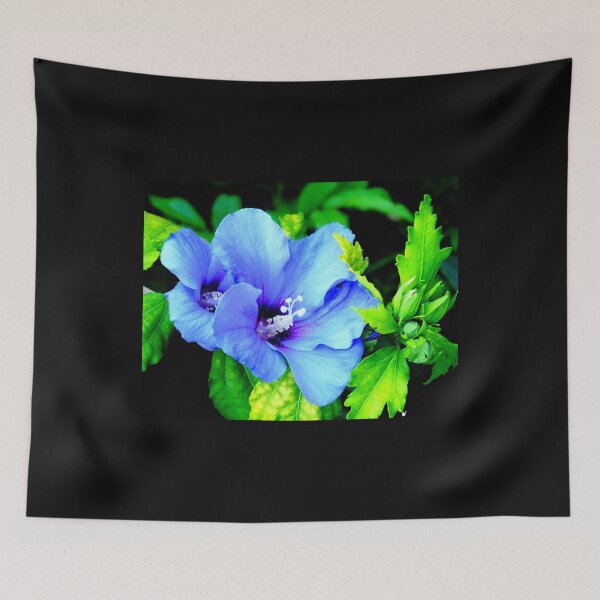 Item preview, Blue Hibiscus designed and sold by angel1.