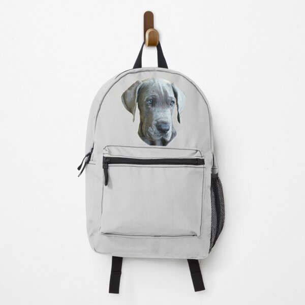 Black 2024 dog backpack