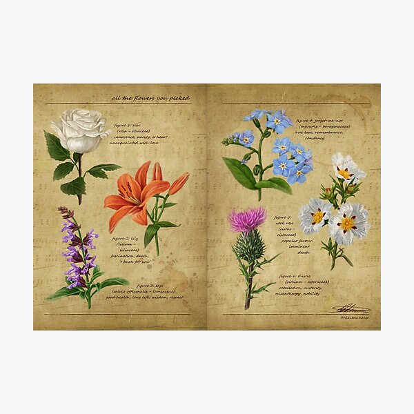 Item preview, All The Flowers You Picked - Botanical Studies designed and sold by Nikita Schaap.