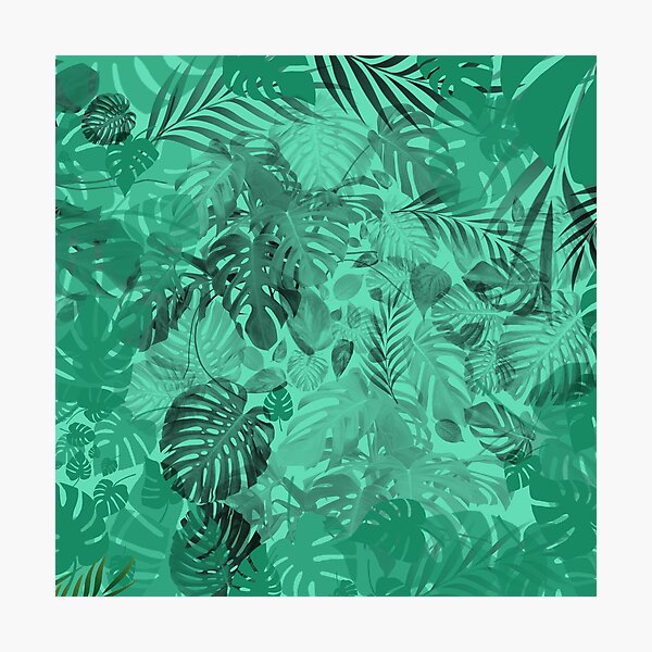 Camouflage Plant Leaves Green Texture Pattern Photographic Prints 