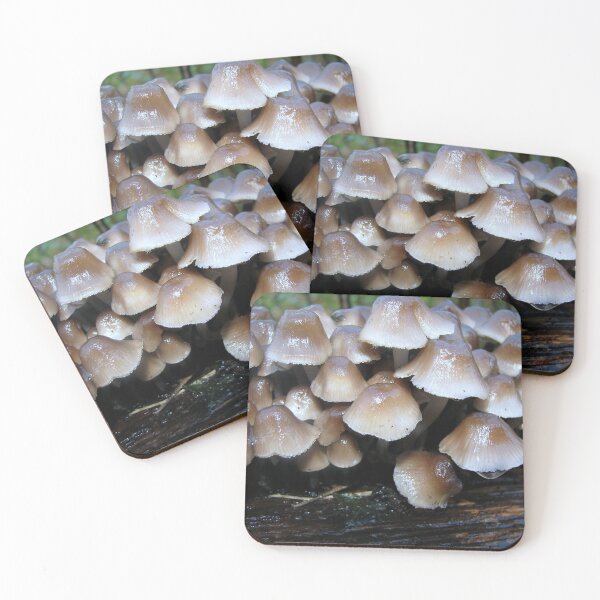 Item preview, Not Mush ...room (not much room) designed and sold by Sharon Perrett.