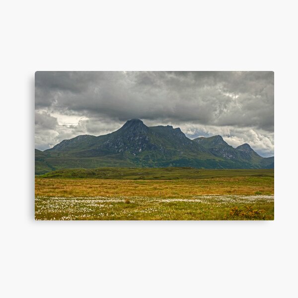 Item preview, Ben Loyal designed and sold by Jamie  Green.