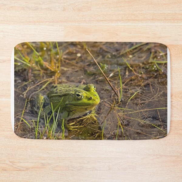 Item preview, Green frog in the pool designed and sold by xophotography.