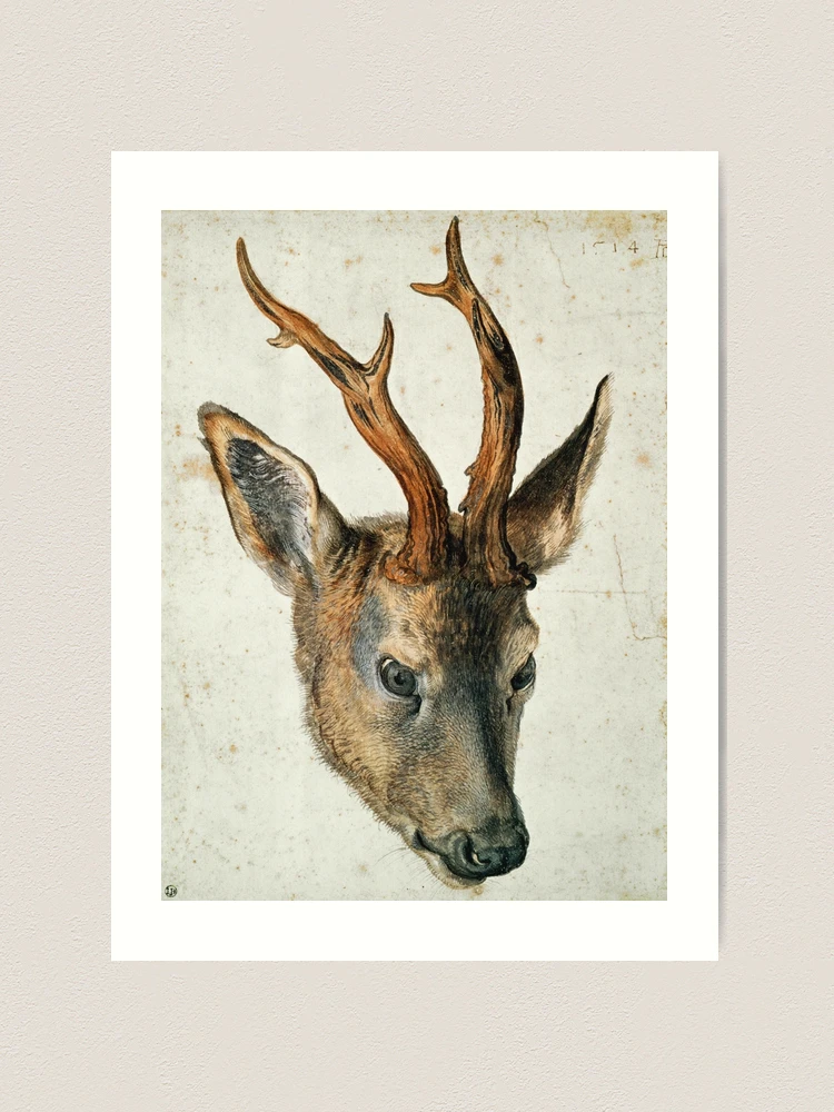 Courting Roe Deer - Limited Edition Print