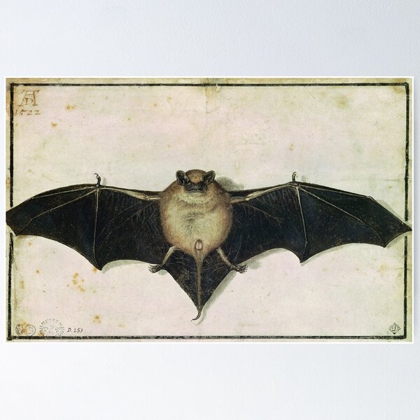 Item preview, Albrecht Durer - Bat designed and sold by artcenter.