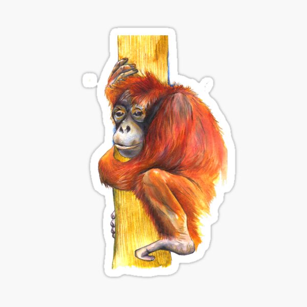 Orangutan Icon Sticker