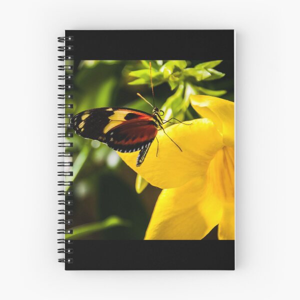 Item preview,  in diffuse background designed and sold by MARLYN ALVAREZ BUSTOS.