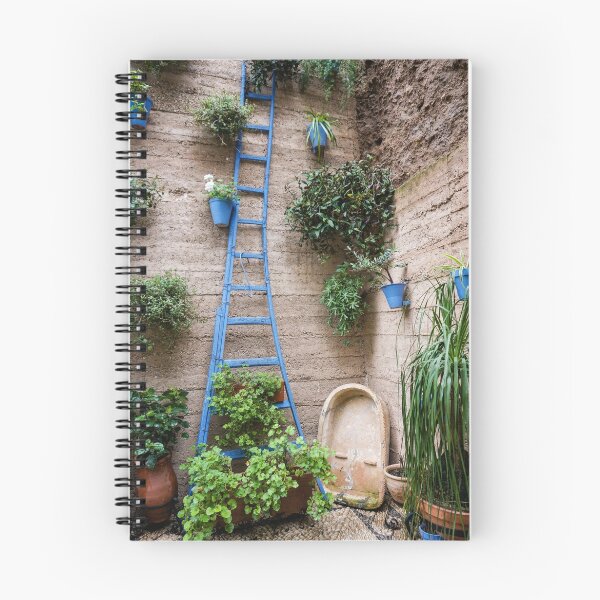 Item preview, Garden Patio in Cordoba Spain designed and sold by Robert Kelch, M.D..