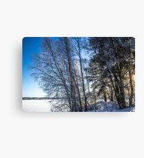 Thaw Zero Canvas Print