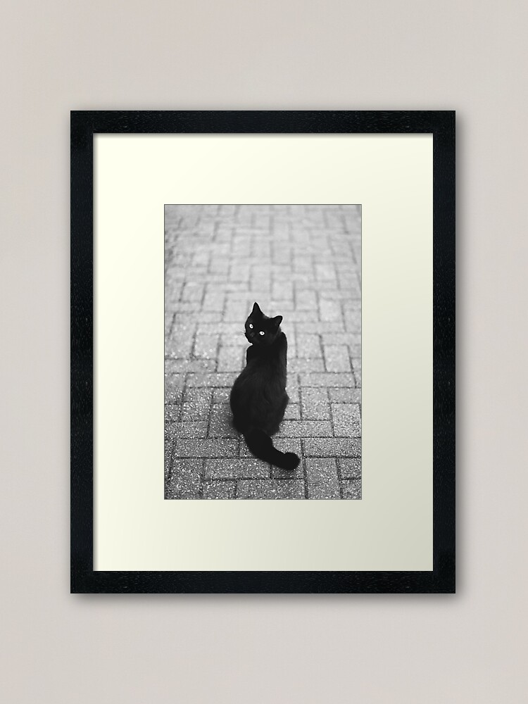 Alternate view of Black Cat Framed Art Print