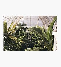 Botanical Gardens Photographic Print