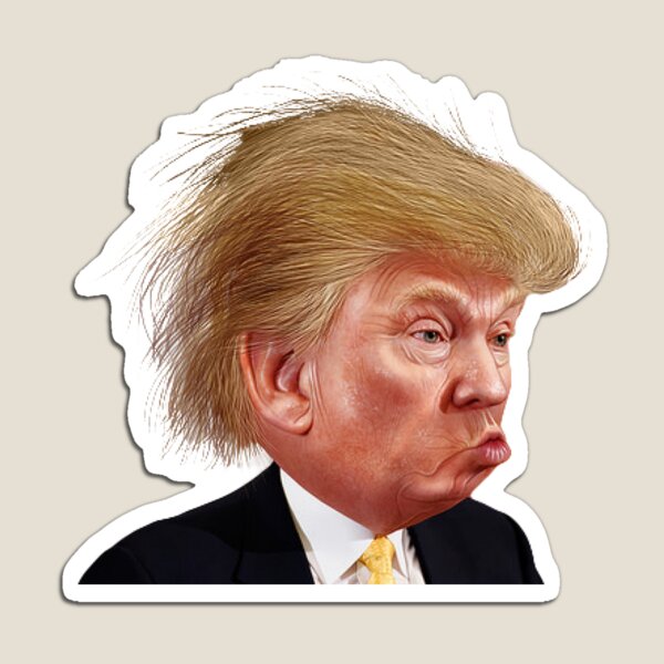 Vista previa del artículo con la obra «Cabello desordenado Trump», diseñado y vendido por foxxyapparel.