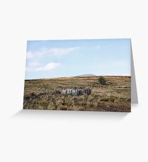 Space to Breathe Greeting Card