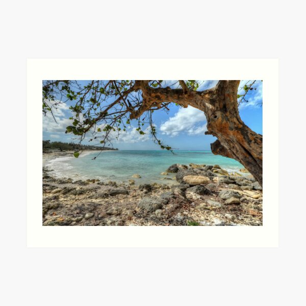 Ocean View at Caves Village in Nassau, The Bahamas Art Print