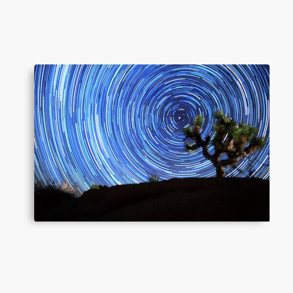 Stunning Circular Star Trails Above Joshua Tree Desert Canvas Print