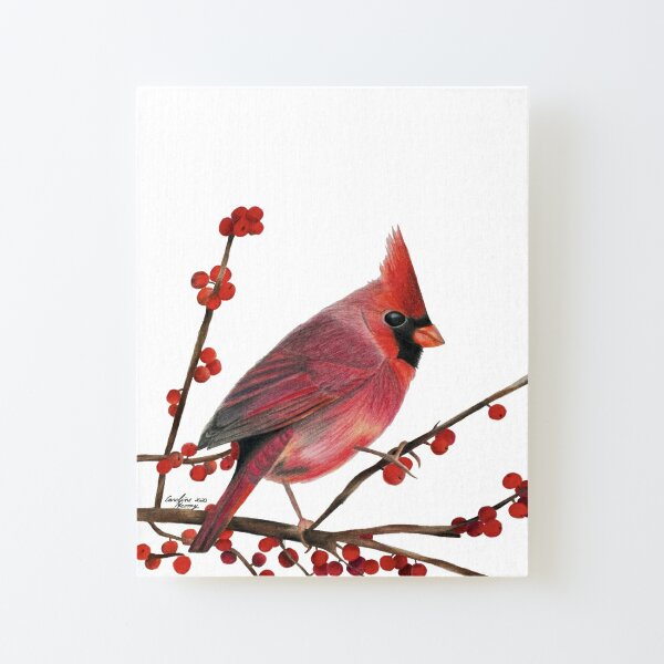 Pintura cardinal roja para telas