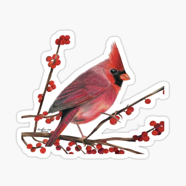 Item preview, Cardinal designed and sold by carolinehromy.