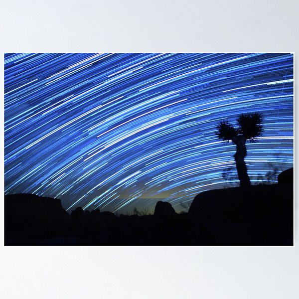 Item preview, Star Trails Sweep Over Joshua Tree Night Desert designed and sold by Gavin Heffernan.
