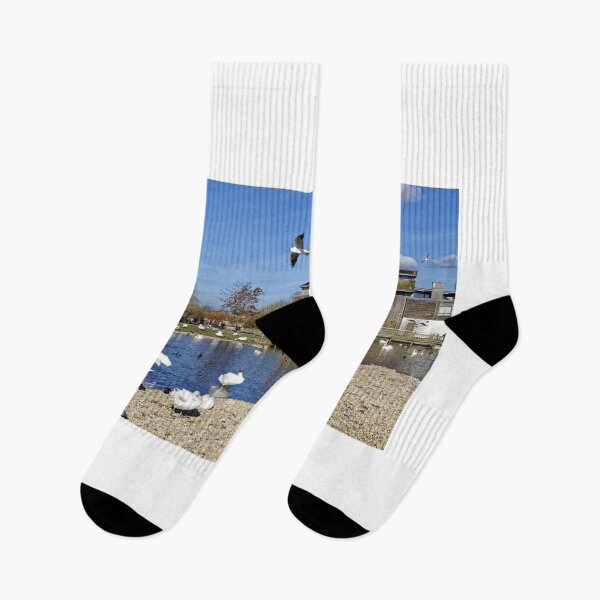 Item preview, Slimbridge Wetland Centre, Gloucestershire, United Kingdom. designed and sold by Andy Harker.