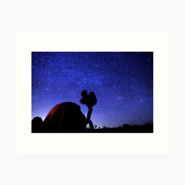 Starscape Over Joshua Tree Desert Art Print