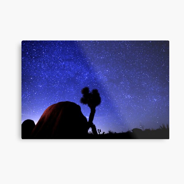 Starscape Over Joshua Tree Desert Metal Print