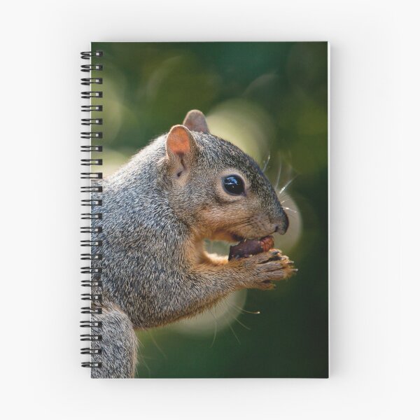Item preview, Yummy Nuts designed and sold by CROBrien.