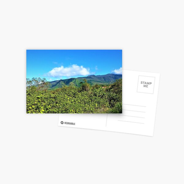 Paysage Ile de la Reunion Carte postale