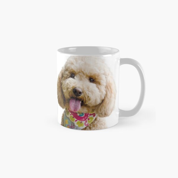 Cockapoo Welpen Geschenke Merchandise Redbubble