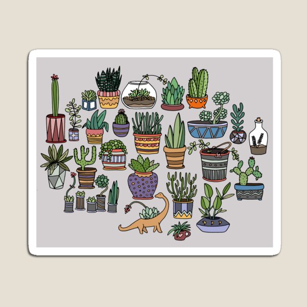 Succulent Party Magnet