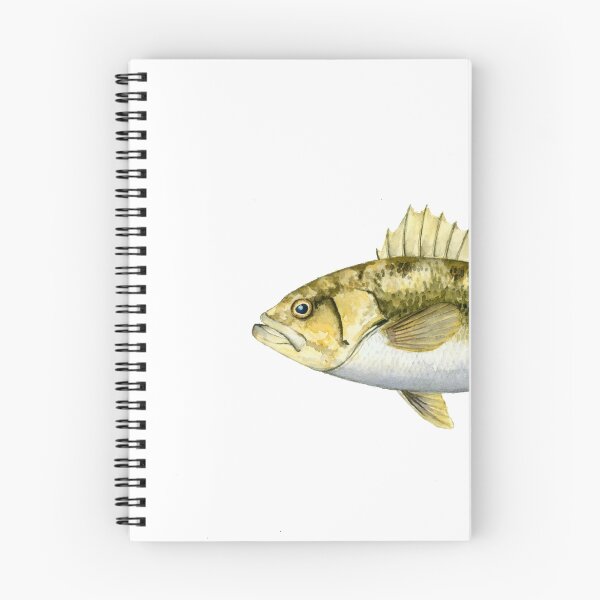 Item preview, Kelp Bass designed and sold by Becca Berezuk.