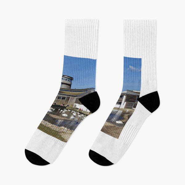 Item preview, Slimbridge Wetland Centre, Gloucestershire, United Kingdom. designed and sold by Andy Harker.