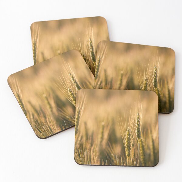 Item preview, Fields designed and sold by CROBrien.