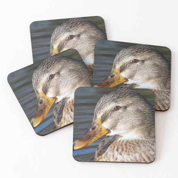 Item preview, UP close designed and sold by Sharon Perrett.