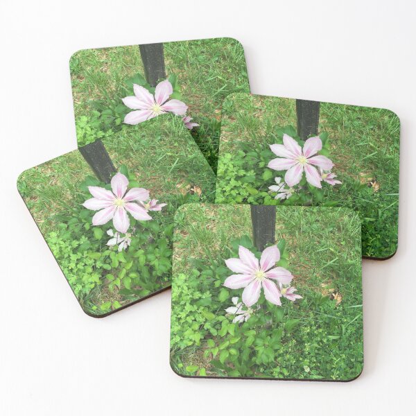 Item preview, Candy Cane Clematis designed and sold by Pamela Montgomery.