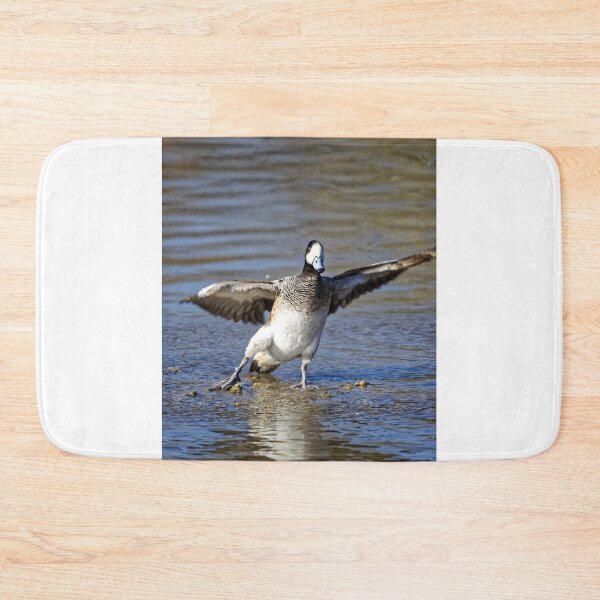Item preview, Chiloe wigeon (Anas Sibilatrix)  designed and sold by Andy Harker.