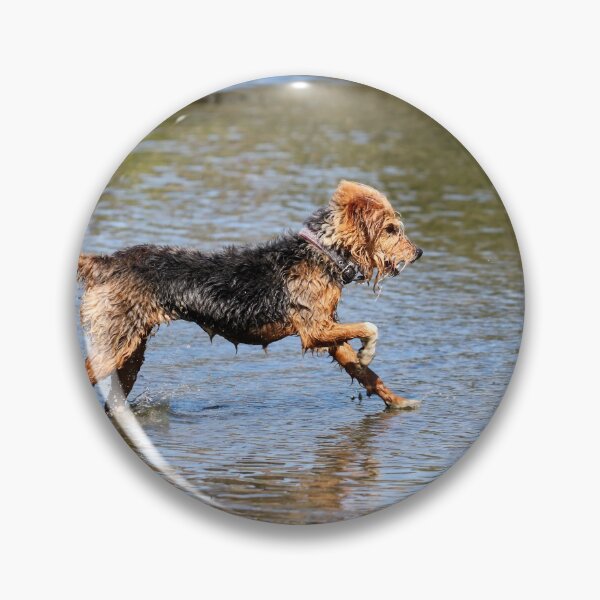 Item preview, Paddling pup designed and sold by GreyFeatherPhot.