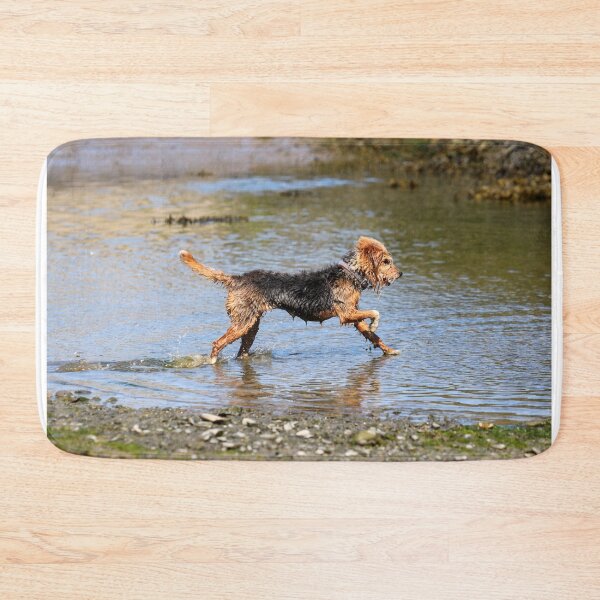 Item preview, Paddling pup designed and sold by GreyFeatherPhot.