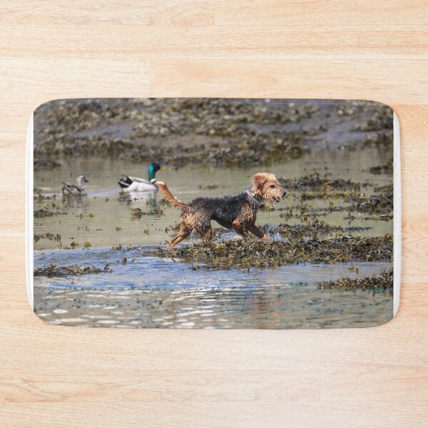 Item preview, River swim designed and sold by GreyFeatherPhot.