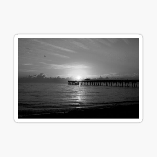 Florida Sunset Sticker