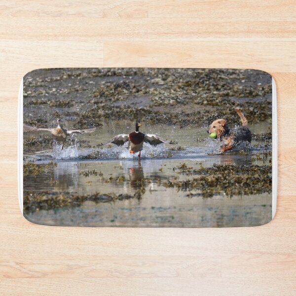 Item preview, Look out ducks! designed and sold by GreyFeatherPhot.