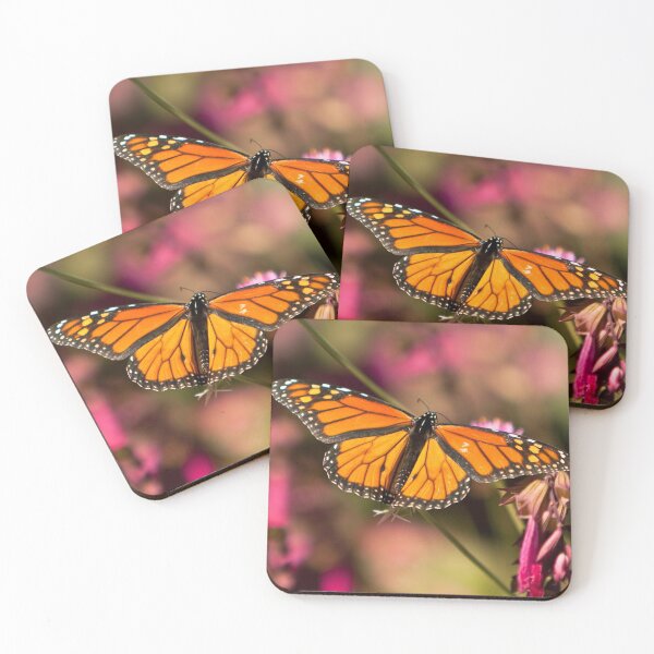 Item preview, Social Butterfly designed and sold by CROBrien.
