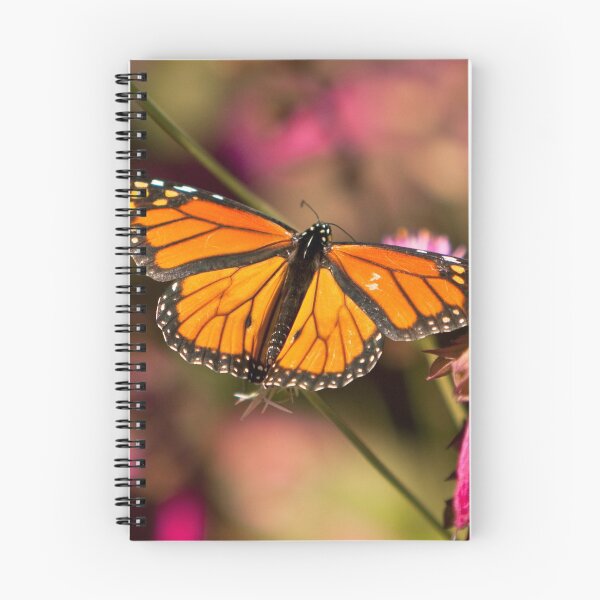 Artikelvorschau, Social Butterfly entworfen und verkauft von CROBrien.